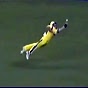 Cricket