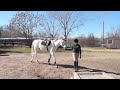 Image A Girl And A Horse