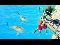 GTA 5 FAILS & EPIC MOMENTS #56 (Best GTA 5 Wins & Stunts, GTA 5 Funny Moments Compilation) GTA 5 FAILS & EPIC MOMENTS #56 (Best GTA 5 Wins & Stunts, GTA 5 Funny Moments Compilation)