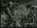 Image Skrapari I Viteve 1970 Hekur Sanxhaku