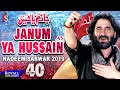 Nadeem Sarwar  Janam Ya Hussain  1441  2019 - 40th Album