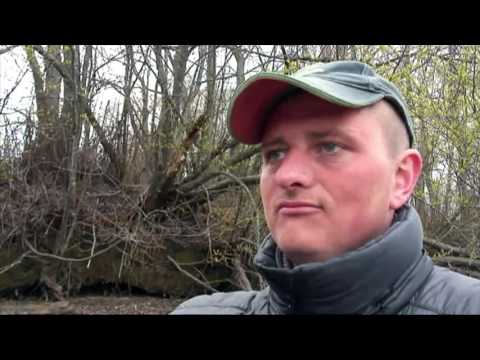 плотва на рыбинке весной видео плотва на рыбинке весной видео