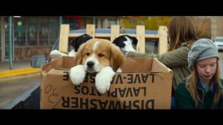 A DOG'S PURPOSE - OFFICIAL TRAILER [HD]