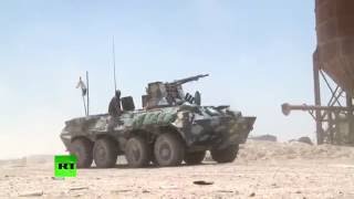 Бои за аль-Фаллуджу: иракские войска и ополчение вытесняют боевиков ИГ из пригородов