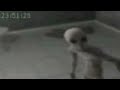 Image Penampakan Alien Nyata Video Cctv Alien Asli Di Bumi