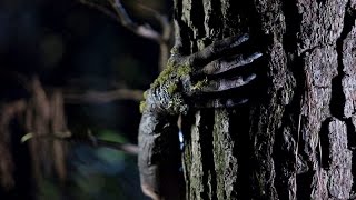 ARBOR DEMON 2017 - Trailer Horror