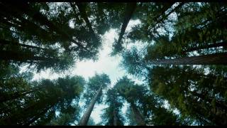 The Tree Of Life | trailer #B (2011) Brad Pitt Sean Penn