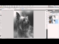 HOW TO DUPLICATE LAYER MASK IN PHOTOSHOP