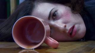 Official Movie Trailer for The Stray by Tom Ford