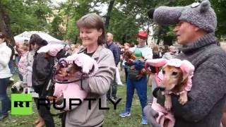 Более 100 такс приняли участие в карнавальном параде в Петербурге