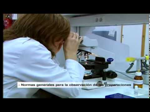 Técnicas Básicas en el Laboratorio de Microbiología. Microscopio óptico