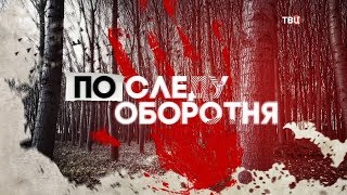 По следу оборотня