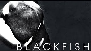 Blackfish - Trailer Legendado PT Br
