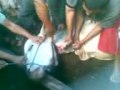 Photo Bokep 17