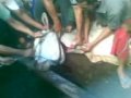 Picture Bokep 17