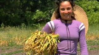 Nourish: Food + Community Trailer