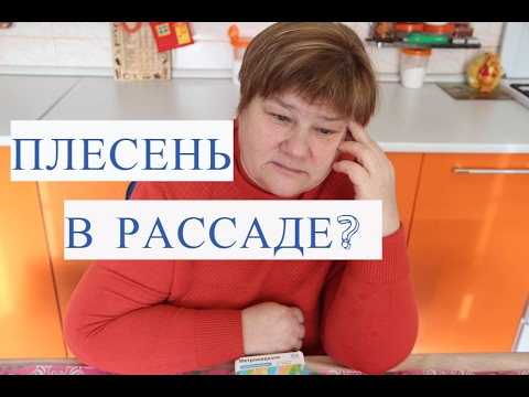 Как можно в слове еще сделать 4 ошибки Как можно в слове еще сделать 4 ошибки