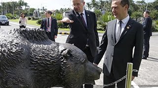 Медведев подарил Филиппинам медведя