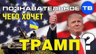 Чего хочет Трамп? (Елена Гоголь)