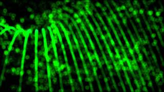 KRANK FOTZE #5 - Enter the Warphole [Promo Trailer] (6-6-2015)