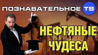 Нефтяные чудеса (Познавательное ТВ, Николай Стариков)