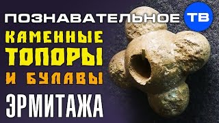 Каменные топоры и булавы Эрмитажа (Артём Войтенков)
