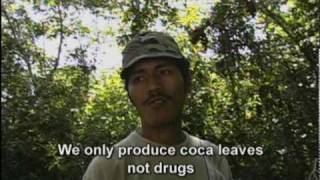 Coca & The Congressman [Trailer]