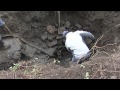 Oldřišov: Obnovená studánka na cyklostezce Oldřišov - Chlebičov