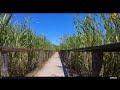 VIDEOCLIP Traseu SSP Bucuresti - Parcul Natural Comana [VIDEO]