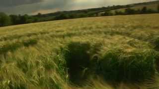 A Field Full of Secrets - Trailer
