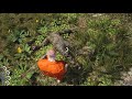 Фрагмент с середины видео SCUM - ОБЗОР ТОПовой Выживалки DayZ на МАКСИМАЛКАХ Фрагмент с середины видео SCUM - ОБЗОР ТОПовой Выживалки DayZ на МАКСИМАЛКАХ