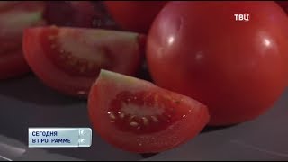 Помидоры. Естественный отбор