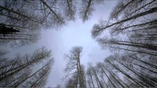 Warren Miller Flow State Trailer 2012 UK