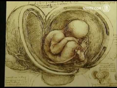 Obras de Leonardo da Vinci Revelam a Anatomia de um Gênio