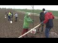 Štěpánkovice: Výsadba stromů