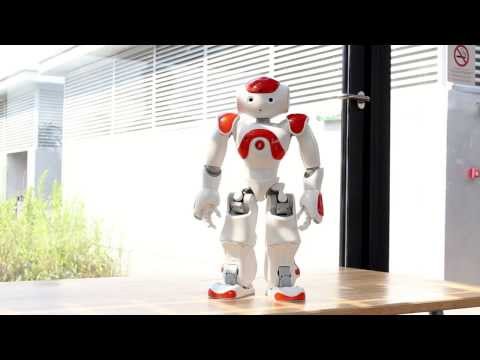 Evolution Of Dance by NAO Robot