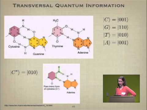 Classical and Quantum Information in DNA (Google Workshop on Quantum Biology)