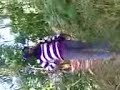 Image Abg Mesum Di Kebun