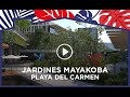 Discover Jardines Ciudad Mayakoba, a brand–new residential community -