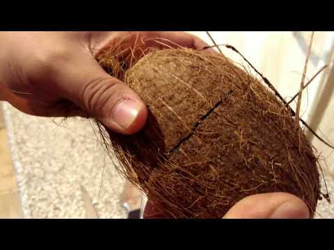 Как сделать кокосовы Как сделать кокосовы