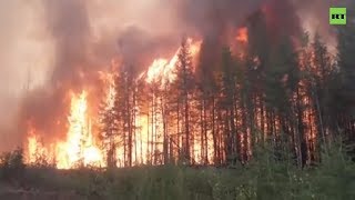 На линии огня: как спасатели на земле тушат лесные пожары в Красноярском крае (08.08.2019 11:27)