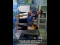Image Video Pemerkosaan Sadis 3gp