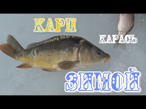 рыбалка на карася весна 2017г видео рыбалка на карася весна 2017г видео