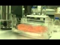 The Transhumanists part 6 documentary by Frank Theys