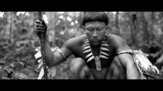 Embrace Of The Serpent Official Trailer  (2016) HD