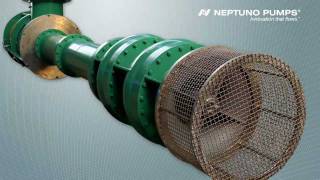 Neptuno Pumps® Vertical Turbine Pumps - YouTube
