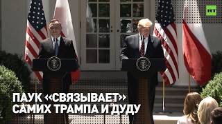 Паук «скрепил» микрофоны президентов США и Польши на пресс-конференции (14.06.2019 15:01)