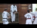 Palcic Taekwondo