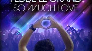 Fedde Le Grand So Much Love Original Hulk