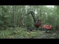 Industrie forestière en Russie